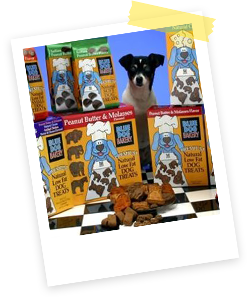 Treat Maker ~ Bake or Freeze – Planet Blue Dog